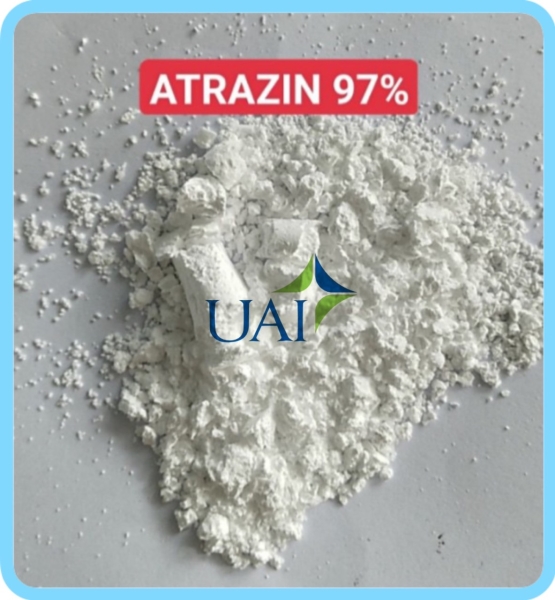 ATRAZIN 97% - Công Ty TNHH Hóa Chất Phân Bón Thuốc Bvtv Dubai
